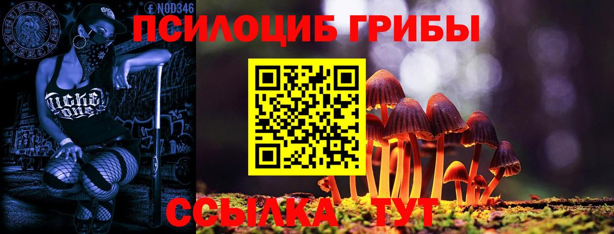 Галлюциногенные грибы Magic Shrooms  Вход с VPN  Сатка 
